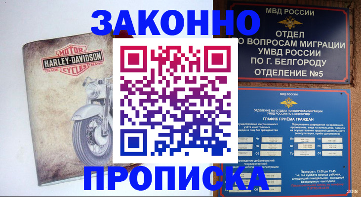 прописка для школы в Северной Осетии